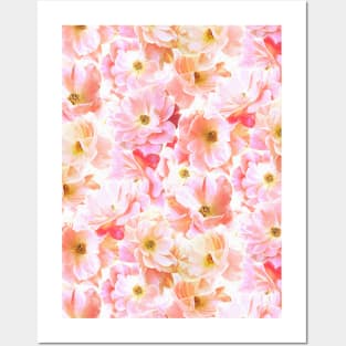 Abstracted Full Blown Roses in Candy Pink and Cream Posters and Art